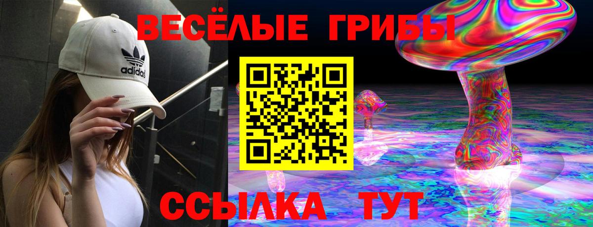 Москва  Псилоцибиновые грибы MAGIC MUSHROOMS  Вход с VPN 